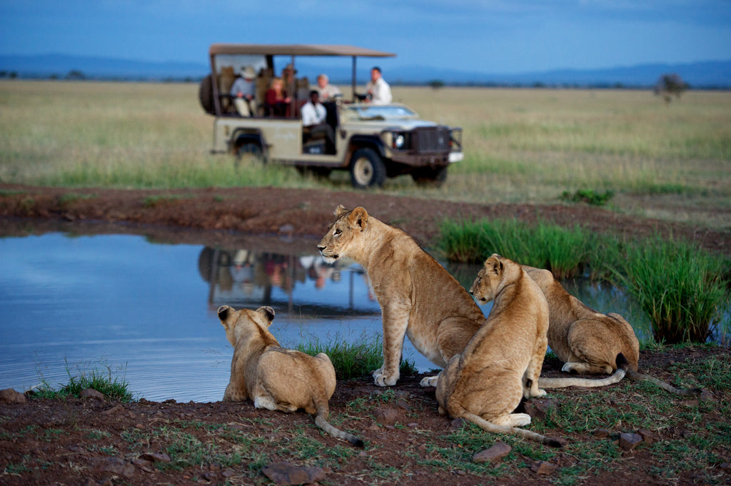 Game Drive