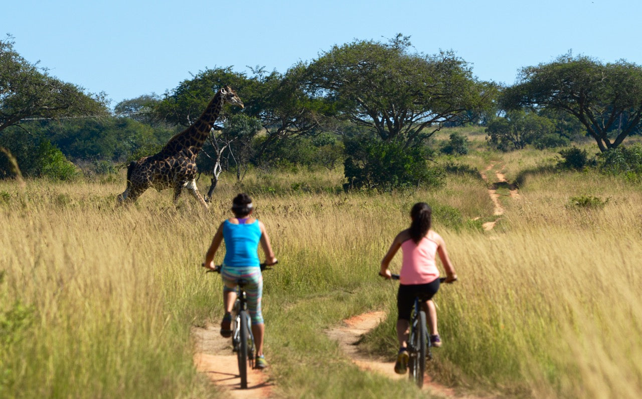 Tomjachu Bush Retreat — Mountain Biking