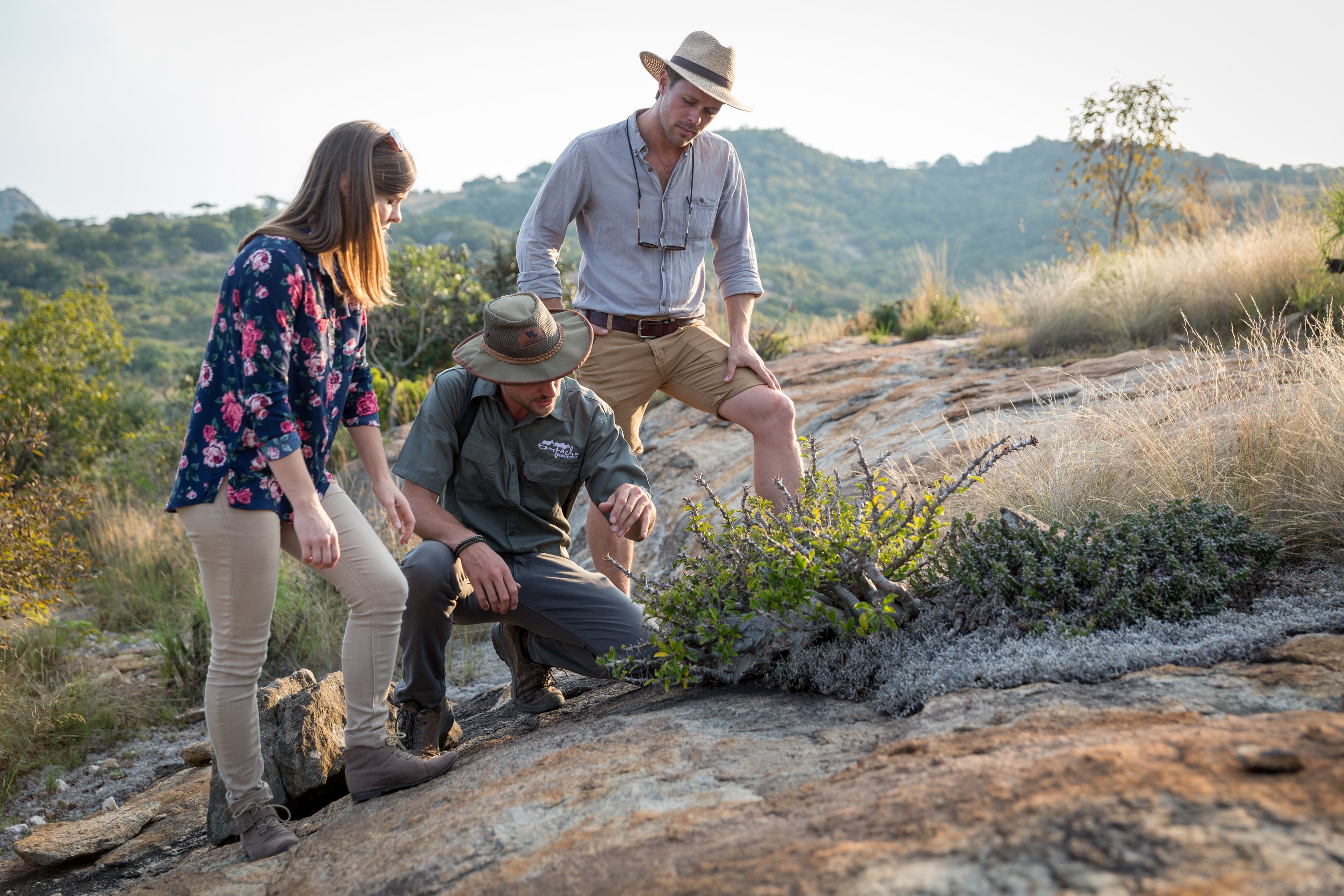 Guided Bushwalk