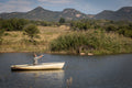 Bass/Bream Fishing (catch-and-release)