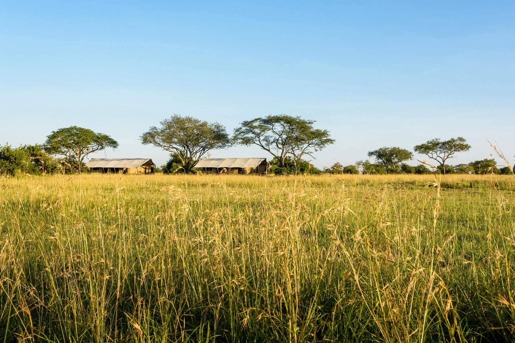 Singita Explore at Singita Explore Camp, Singita Serengeti Grumeti, Tanzania.