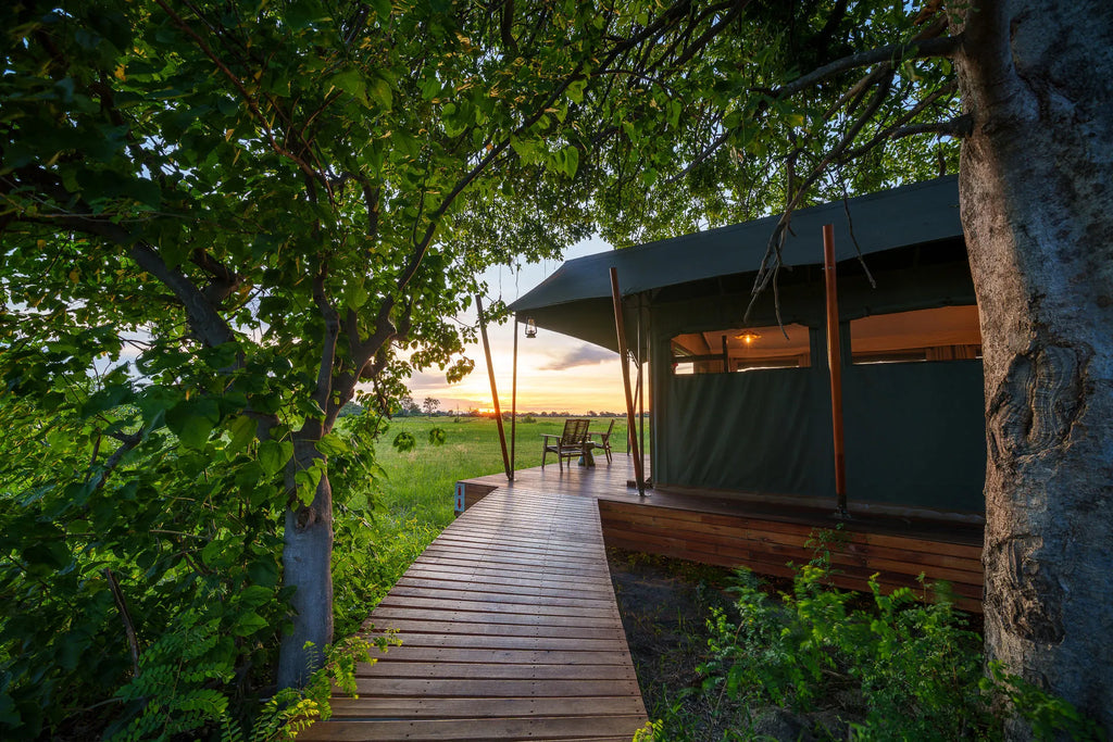 Karangoma - camp (tent approach) at Karangoma, Okavango Delta, Botswana.