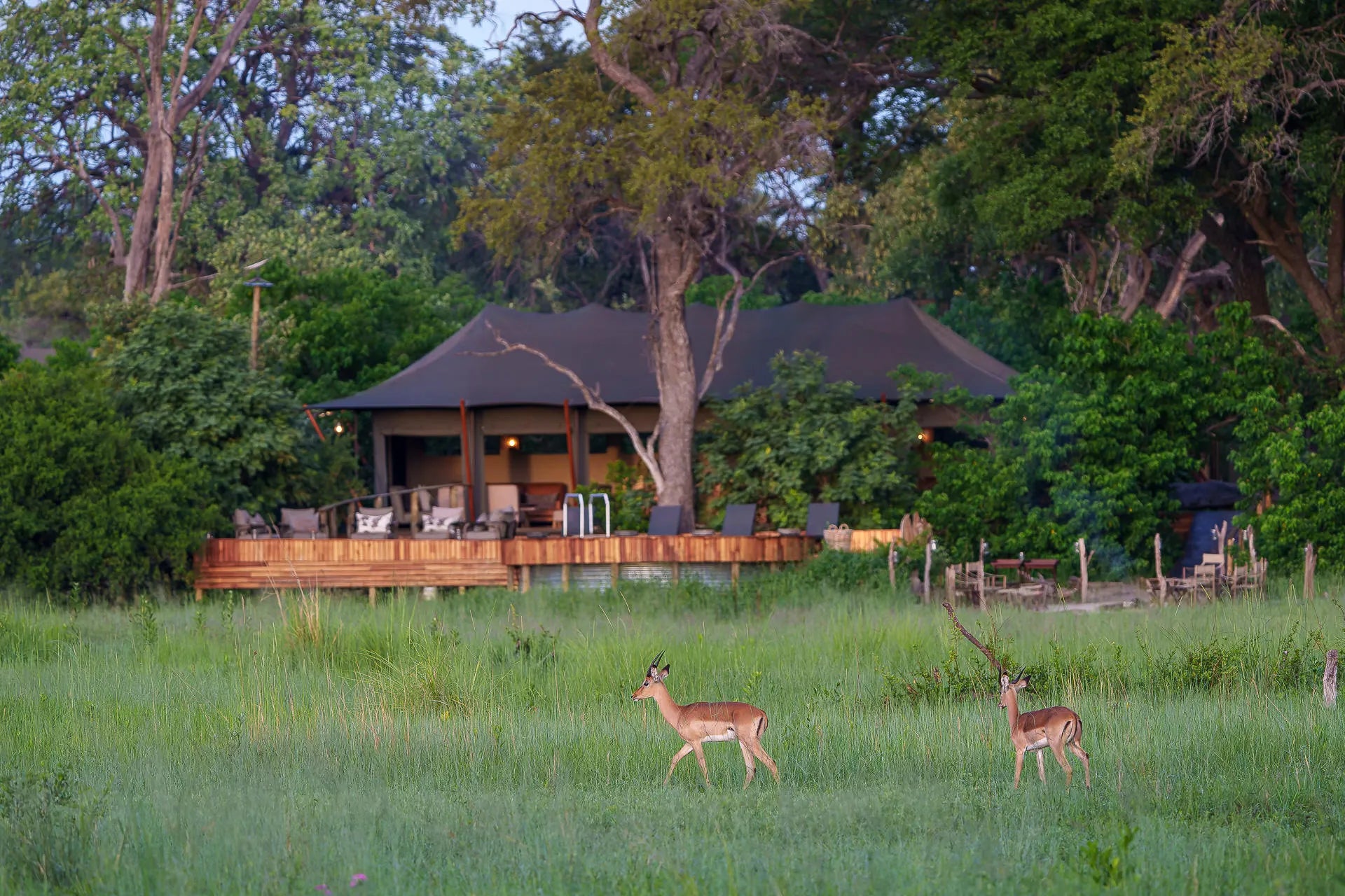 Karangoma - camp (main area) at Karangoma, Okavango Delta, Botswana.