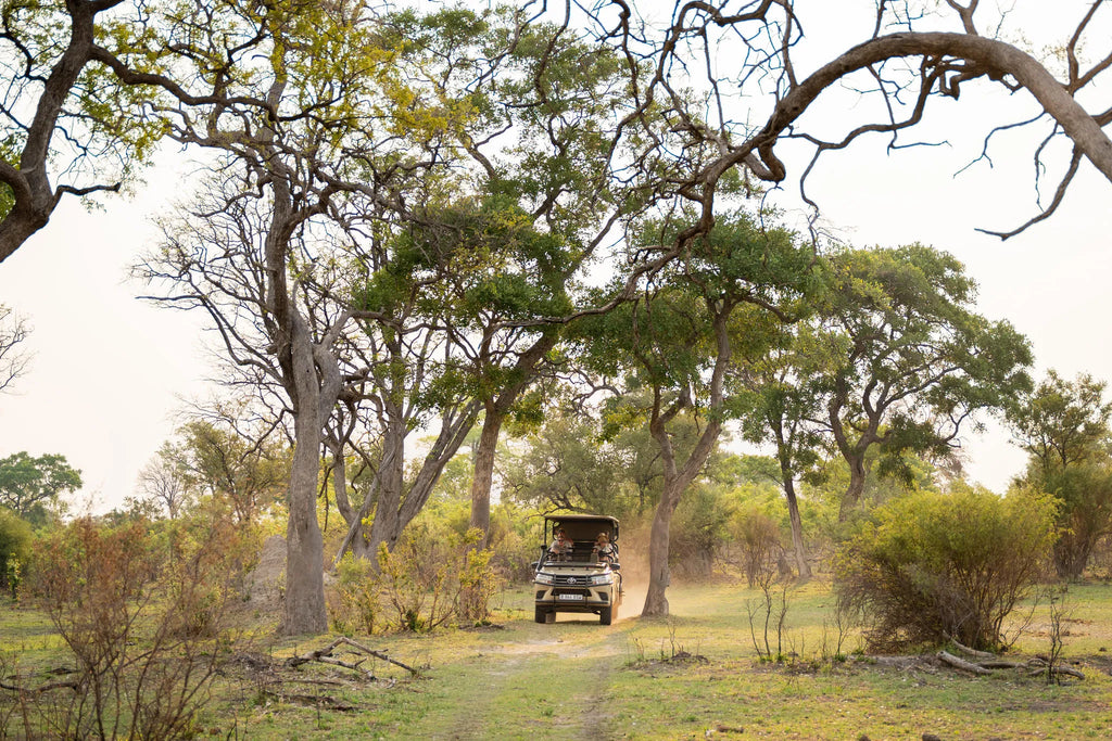 Karangoma - activity (game drive) at Karangoma, Okavango Delta, Botswana.
