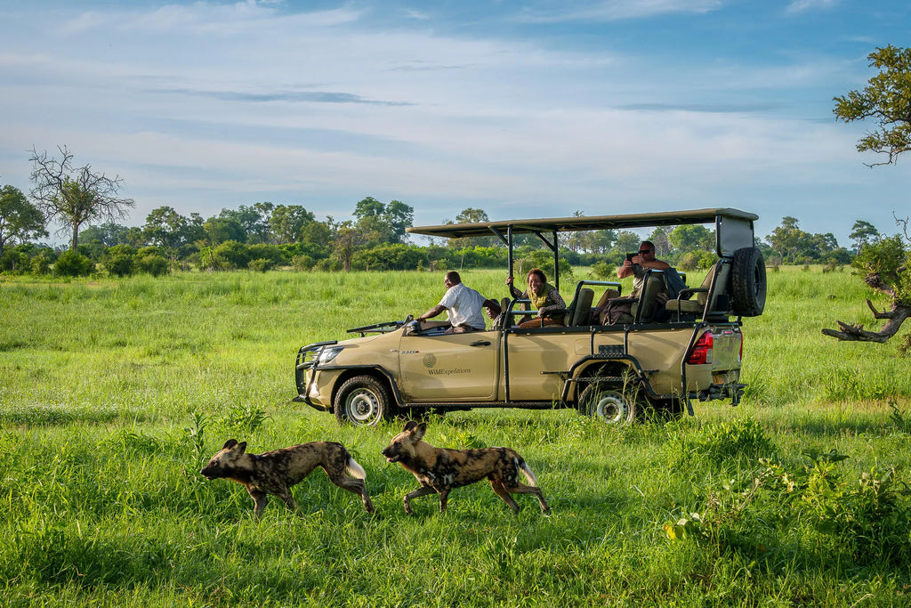 Karangoma - activity (game drive & wild dogs) at Karangoma, Okavango Delta, Botswana.