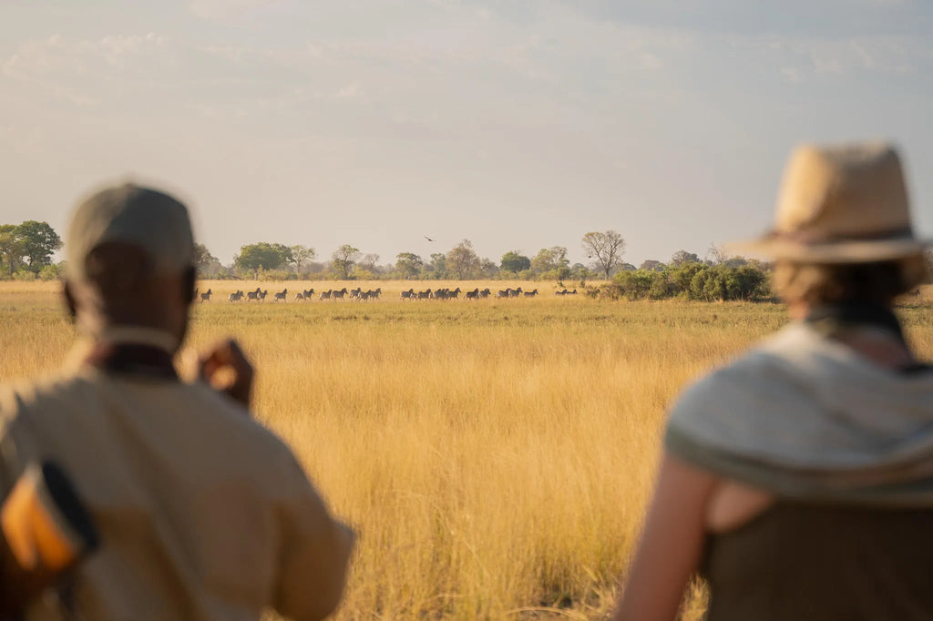 Featured image.
