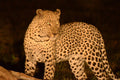 Featured image.
