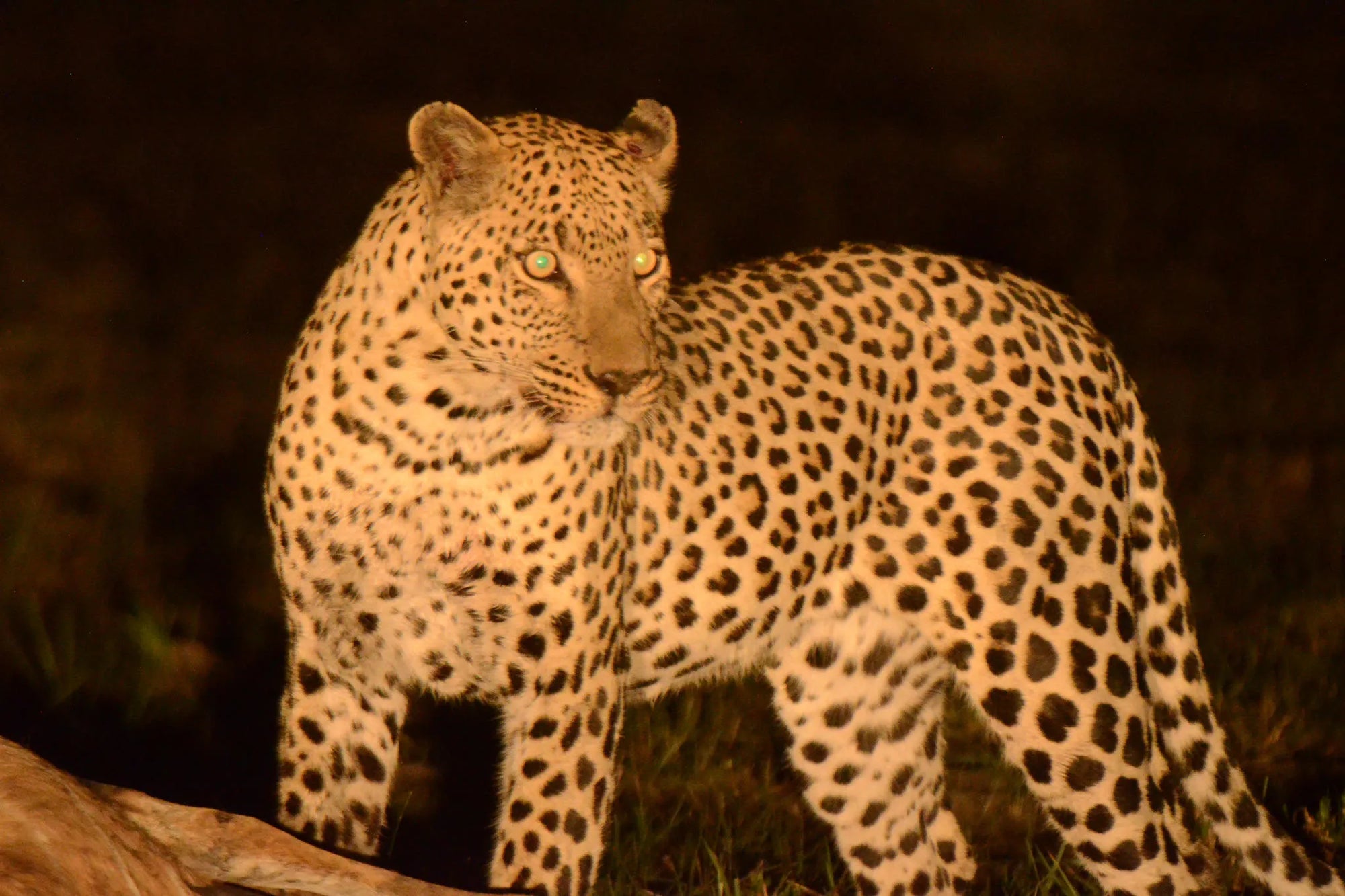 Featured image.