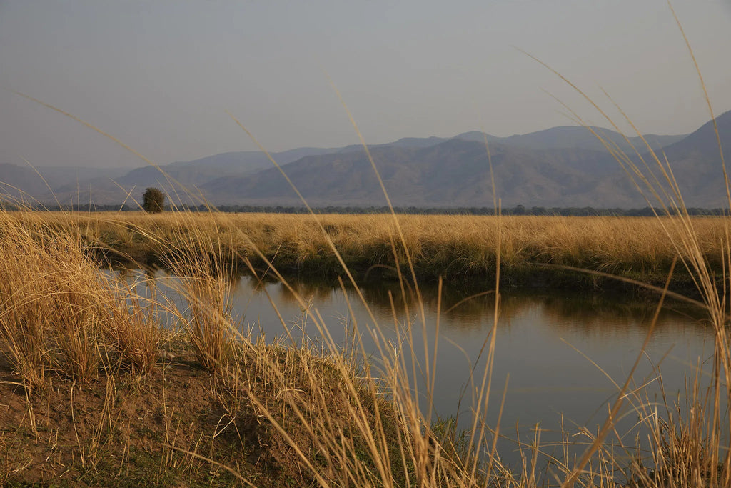 Zambezi River view at Molori Mashuma, Mana Pools National Park, Zimbabwe.