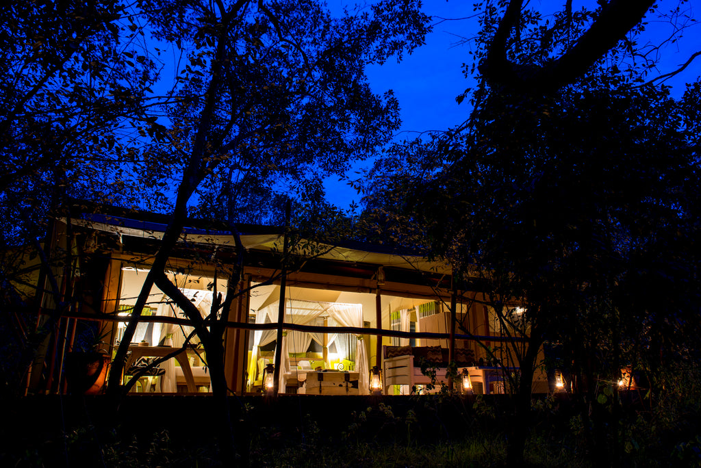 Luxury Forest Tent