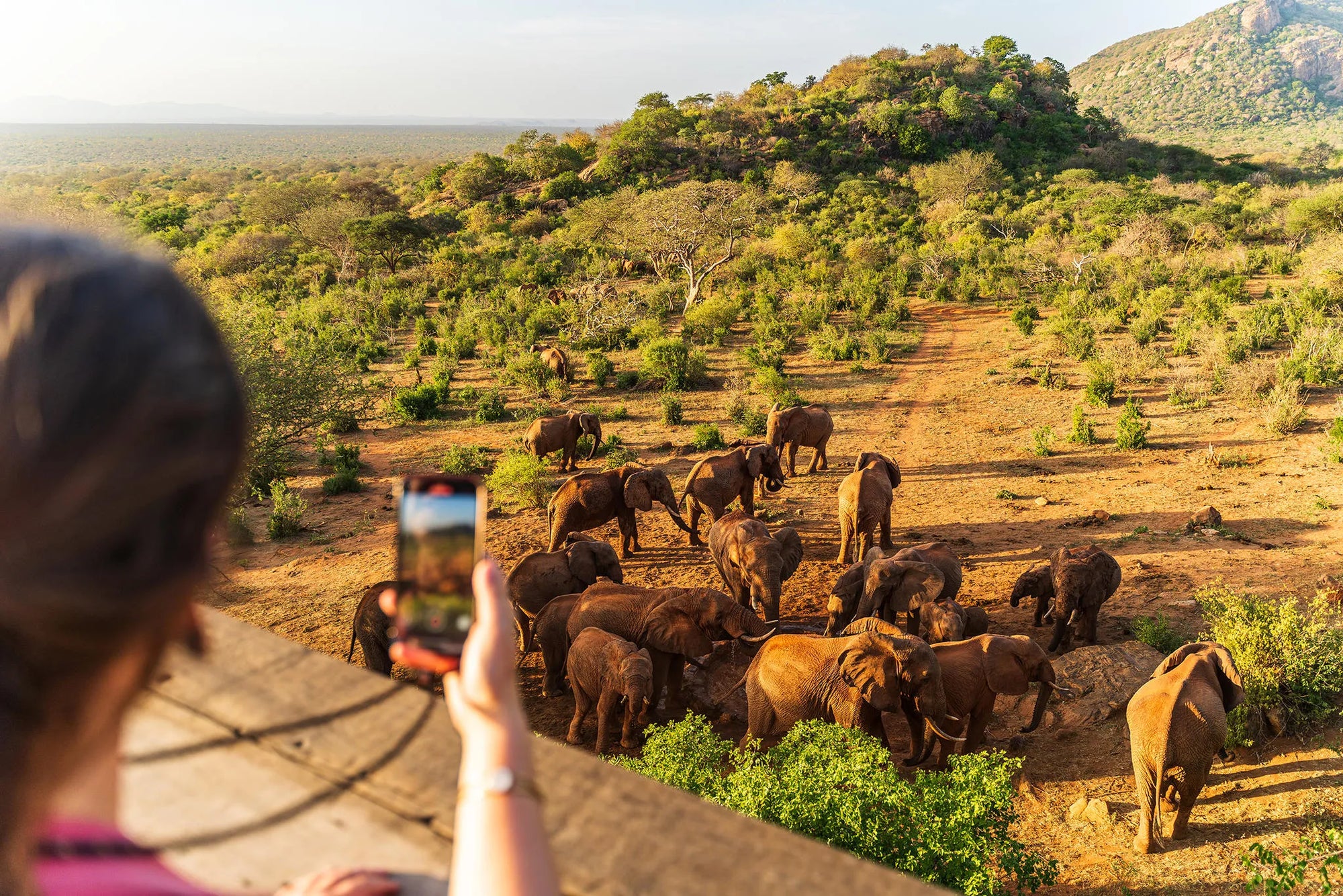 Kipalo Hills, pool deck, waterhole at Kipalo Hills, Tsavo West National Park, Kenya.