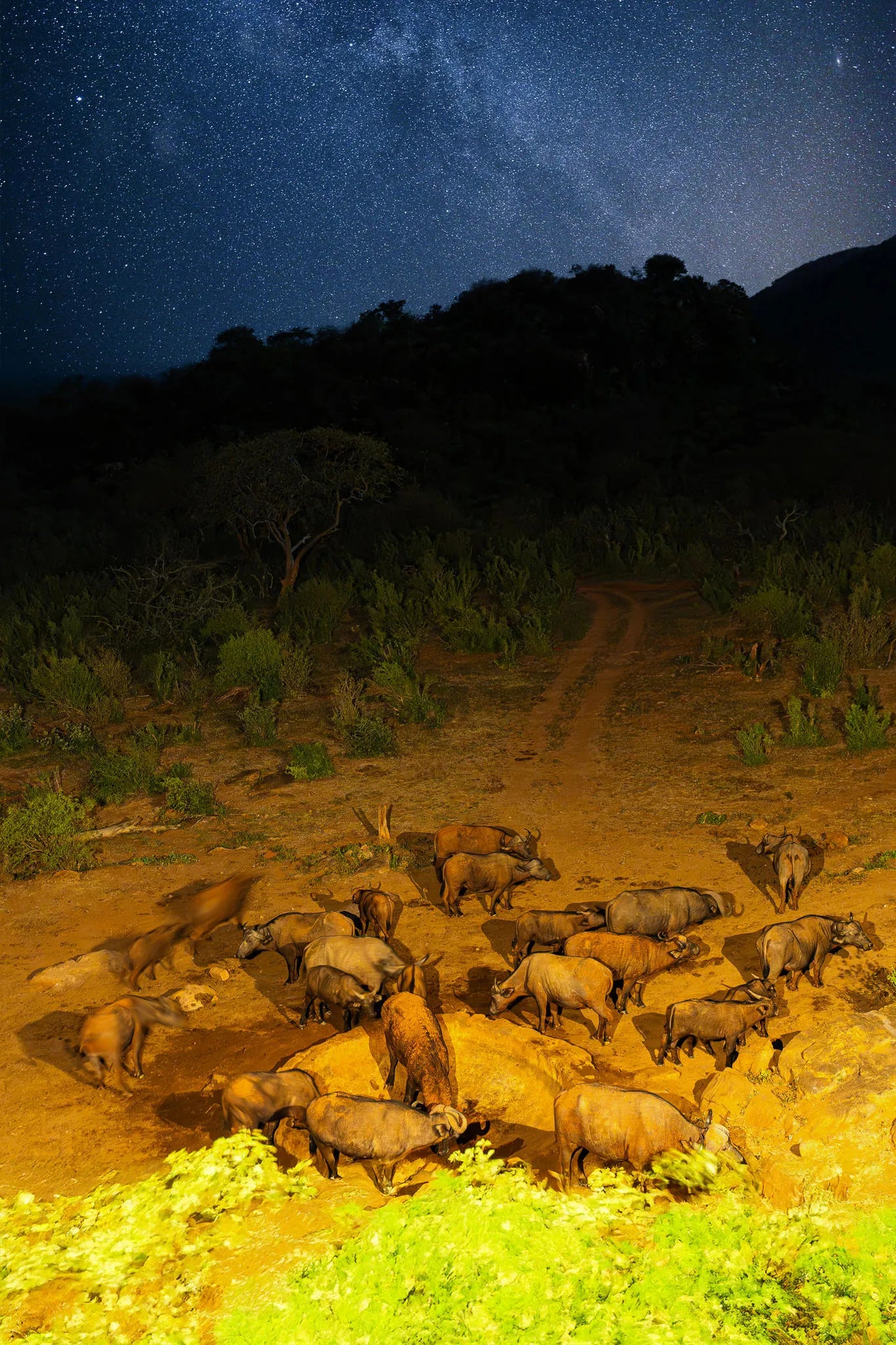 Kipalo Hills, waterhole in front of the lodge at Kipalo Hills, Tsavo West National Park, Kenya.