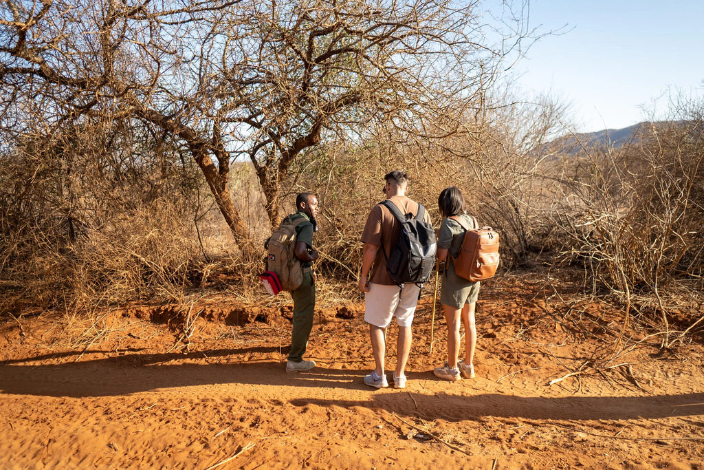 Kipalo Hills, Bush Walk, Mbulia Conservancy at Kipalo Hills, Tsavo West National Park, Kenya.