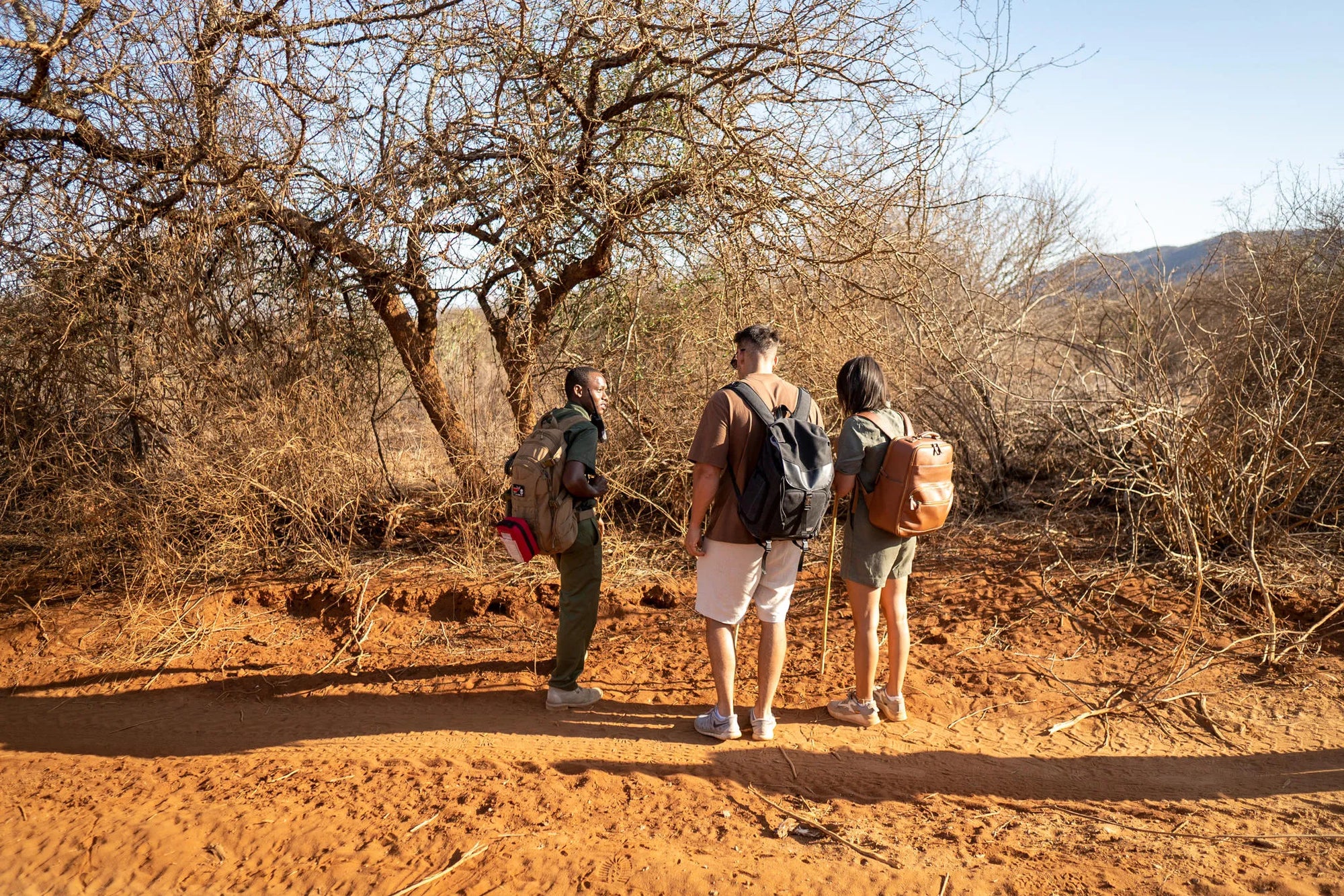 Kipalo Hills, Bush Walk, Mbulia Conservancy at Kipalo Hills, Tsavo West National Park, Kenya.