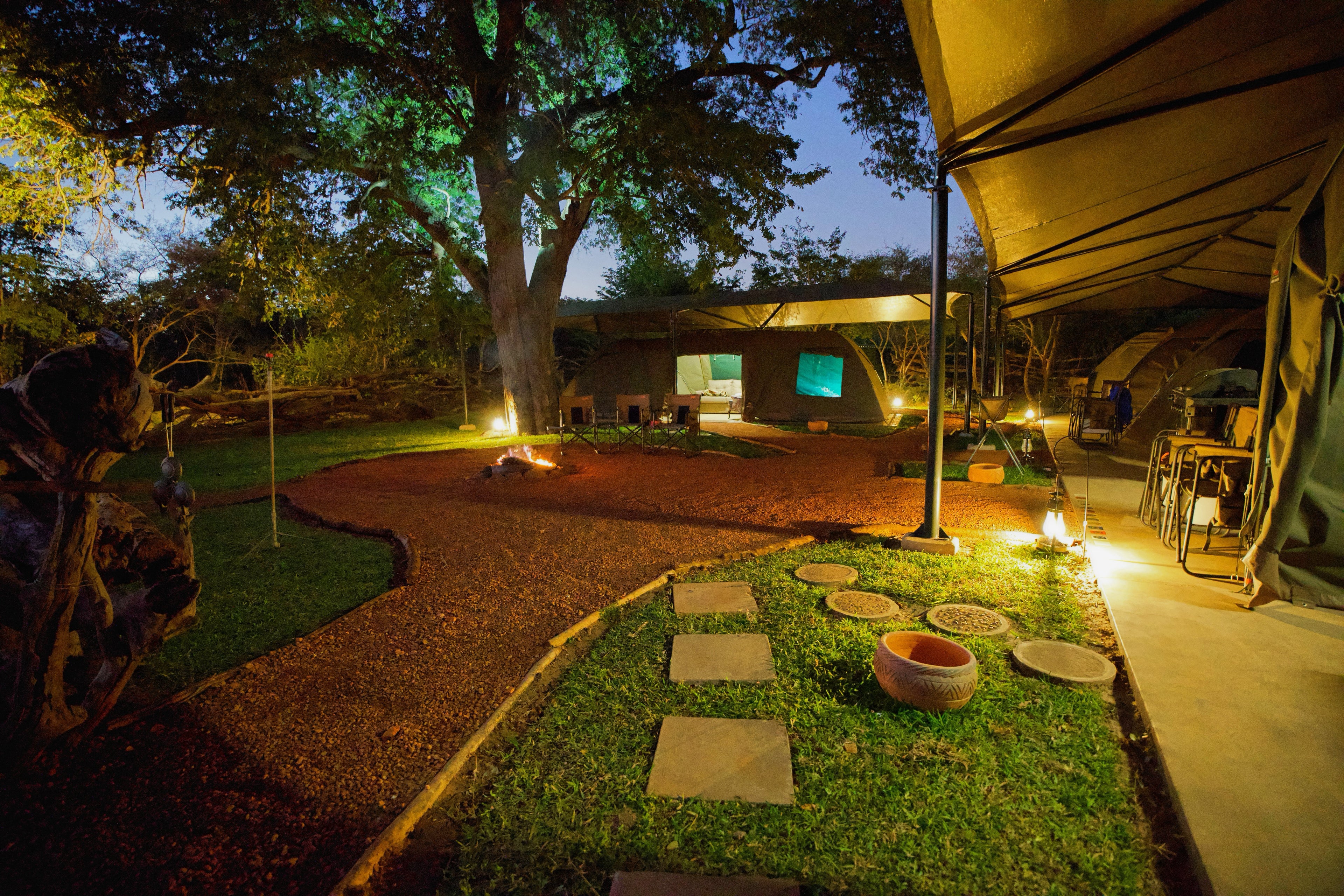 Campsite Night