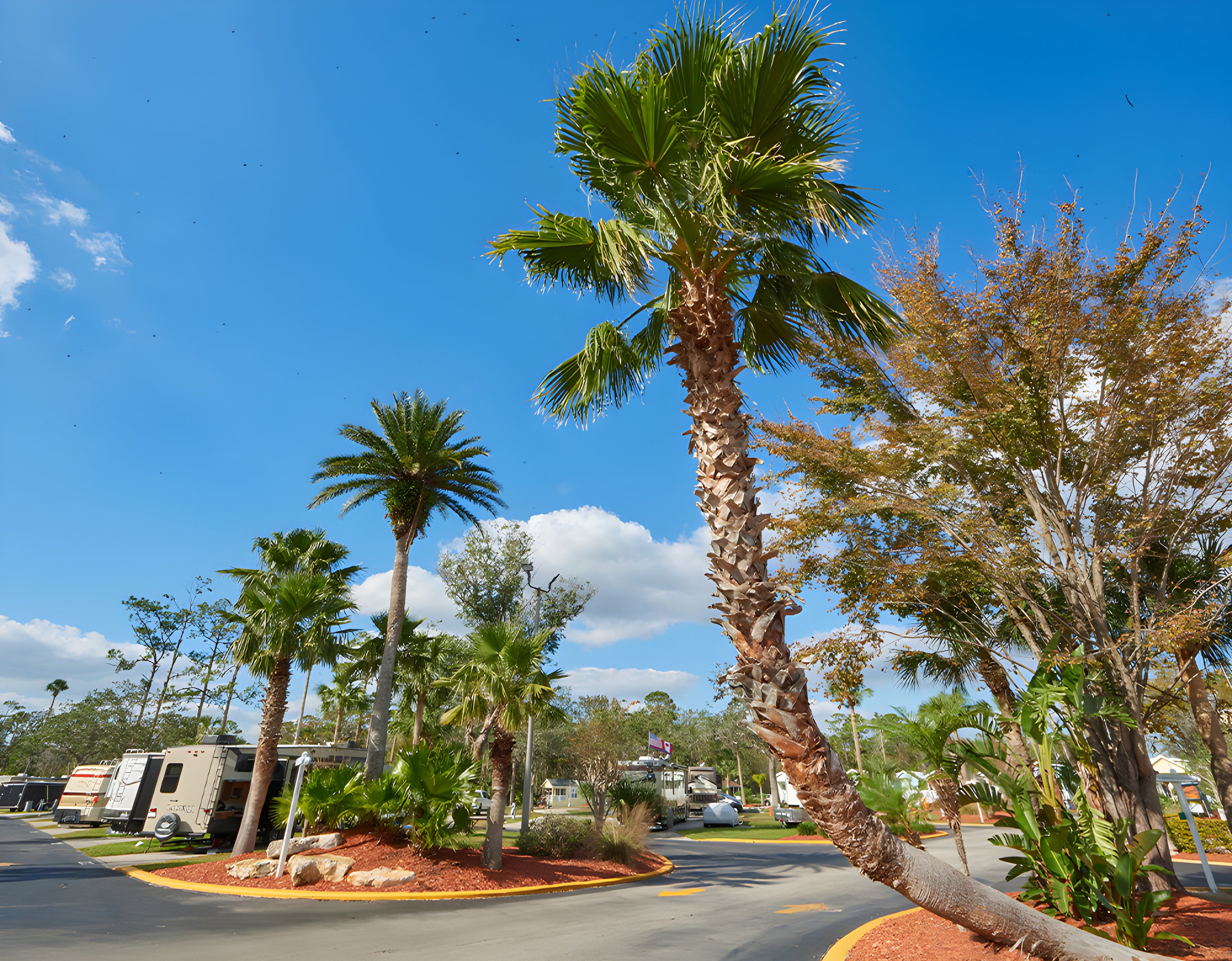 Tropical Palms Resort