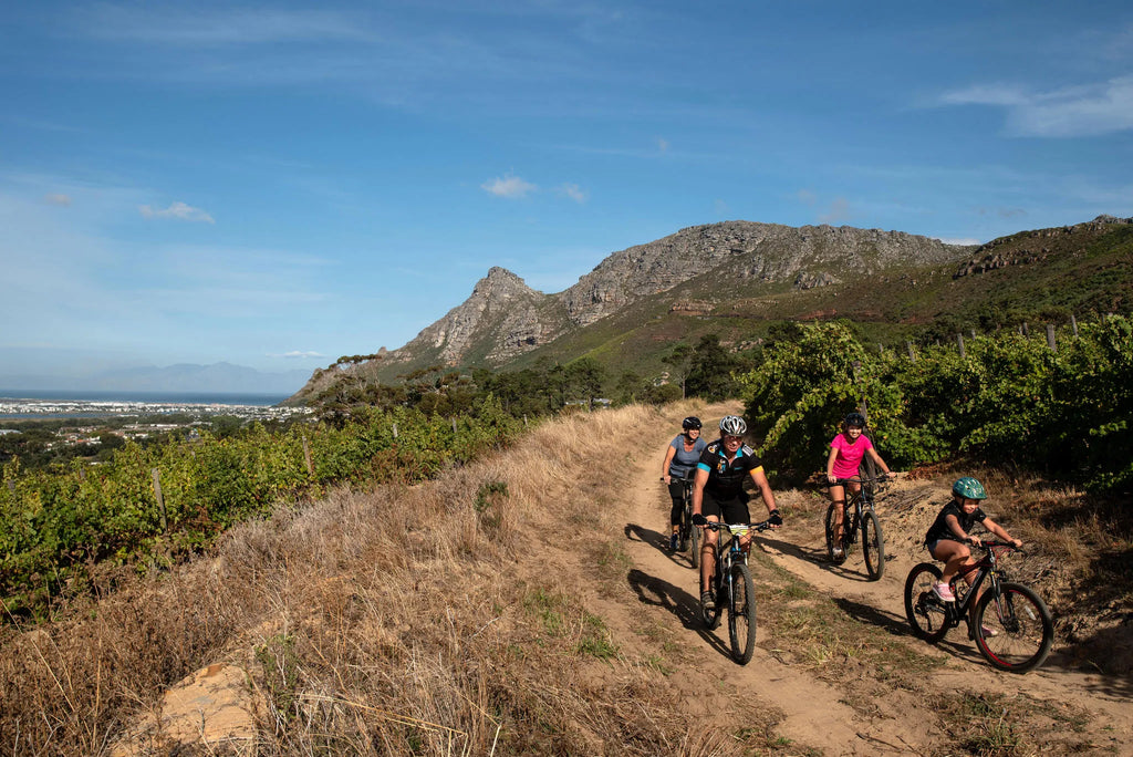 Steenberg Farm Activities