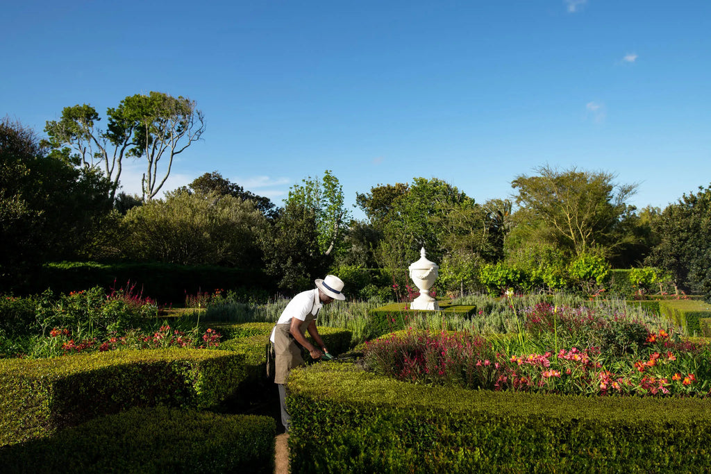 Steenberg Hotel