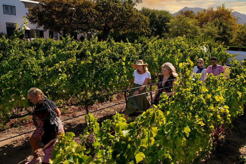 Steenberg Farm Activities