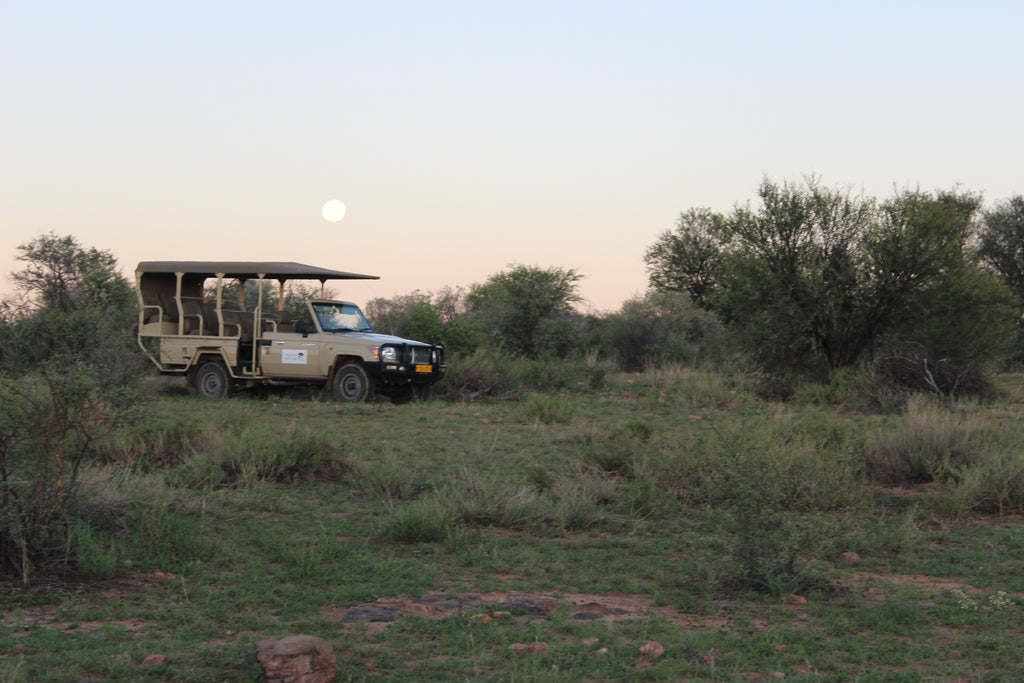 Auas game drive