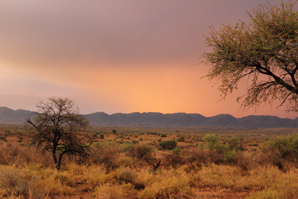 Auas sunsets