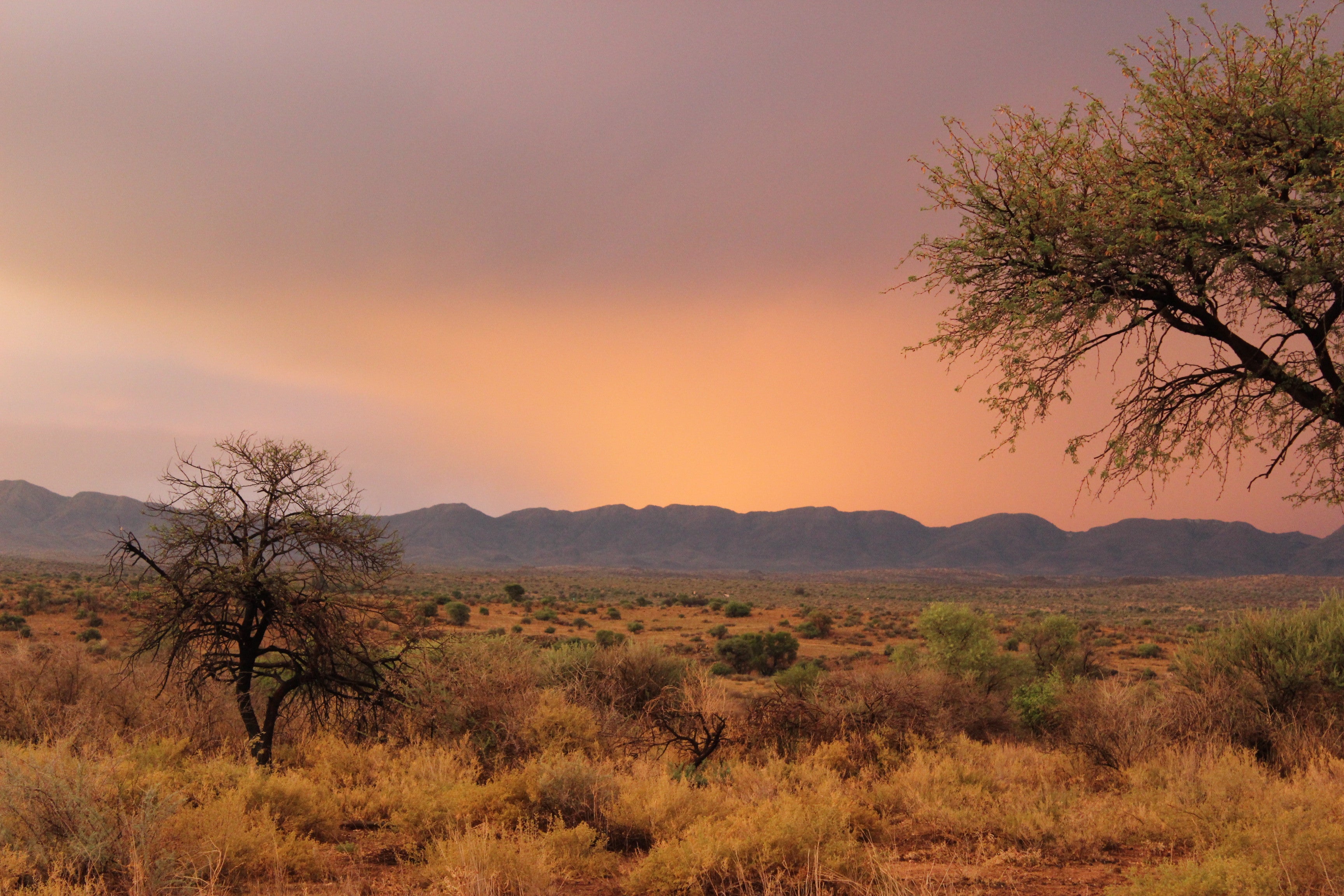Auas sunsets