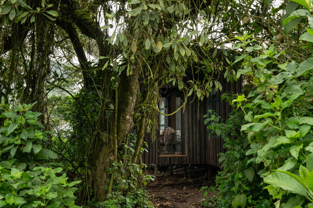 Lemala Osonjoi Lodge at Lemala Osonjoi Lodge, Ngorongoro Crater, Tanzania.