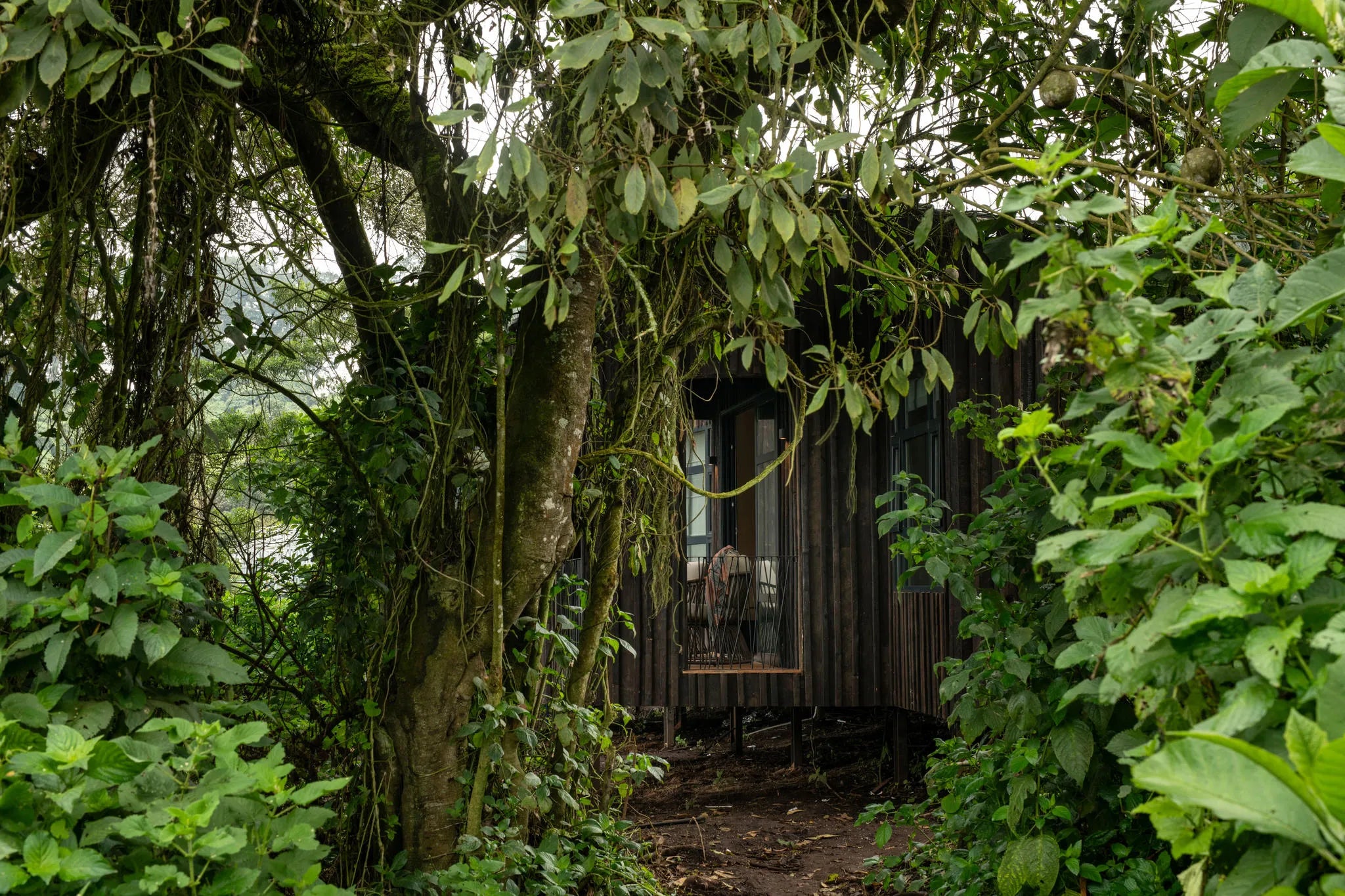 Lemala Osonjoi Lodge at Lemala Osonjoi Lodge, Ngorongoro Crater, Tanzania.