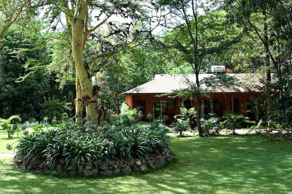 Olasiti Lodge - Arusha