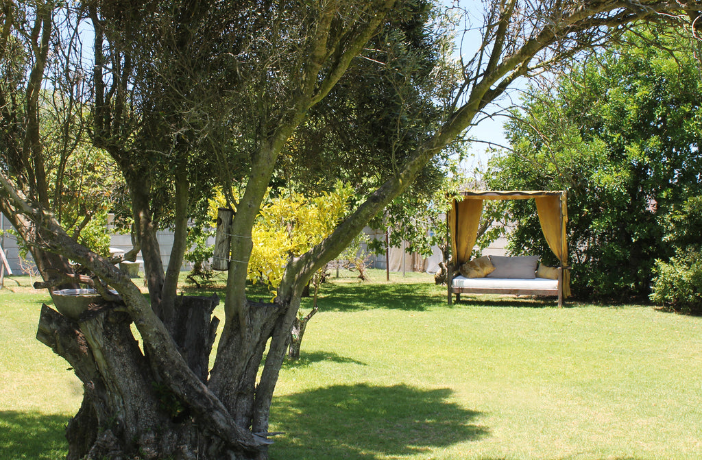 Back Garden with Day Bed
