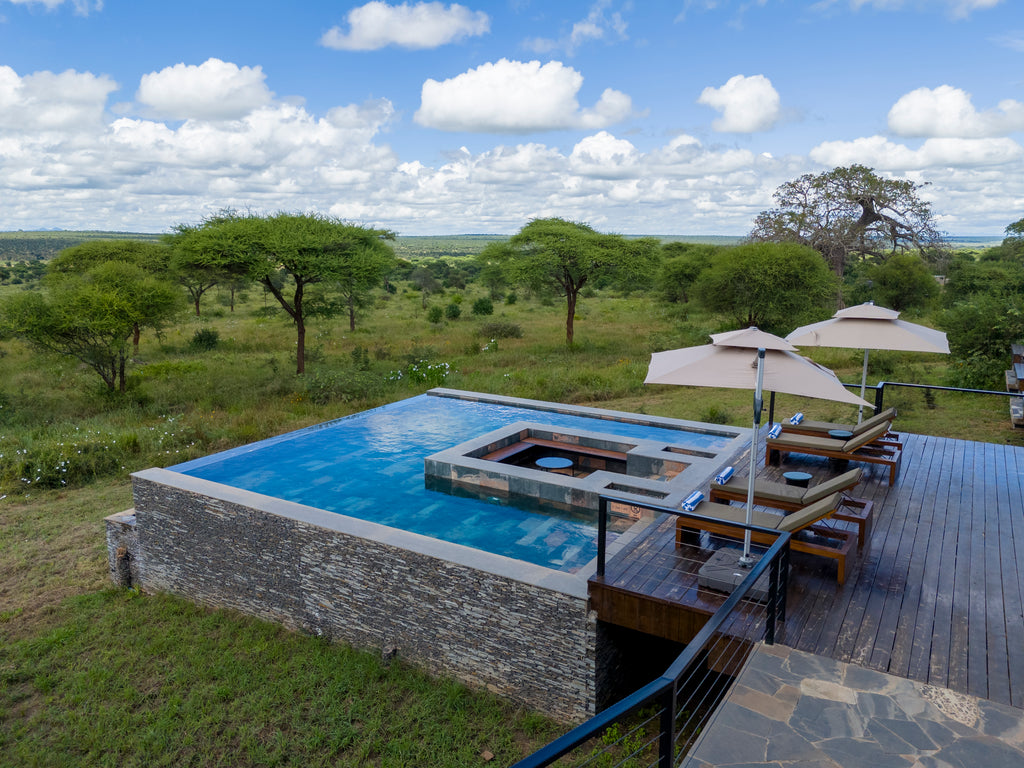 Tarangire Elephant Springs