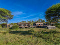 Tarangire Elephant Springs