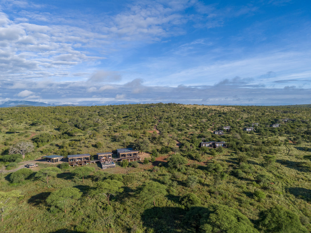 Tarangire Elephant Springs