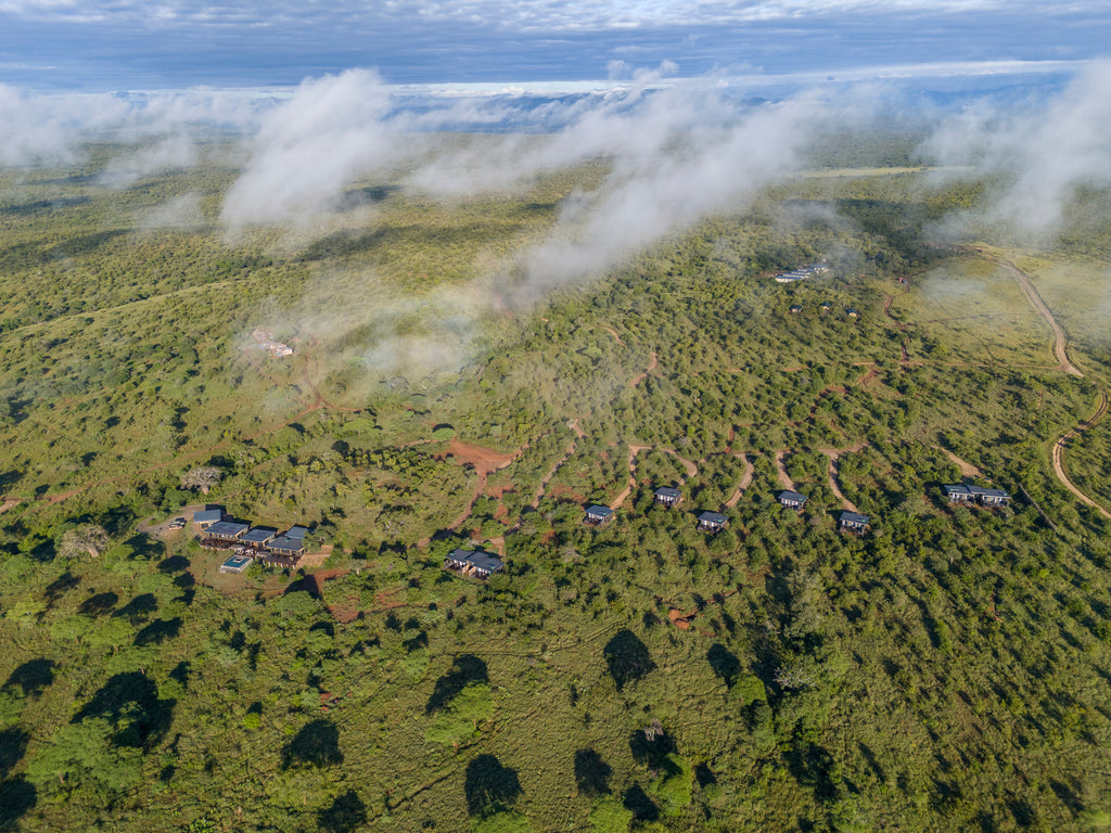 Tarangire Elephant Springs