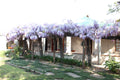 Top House Bed & Breakfast