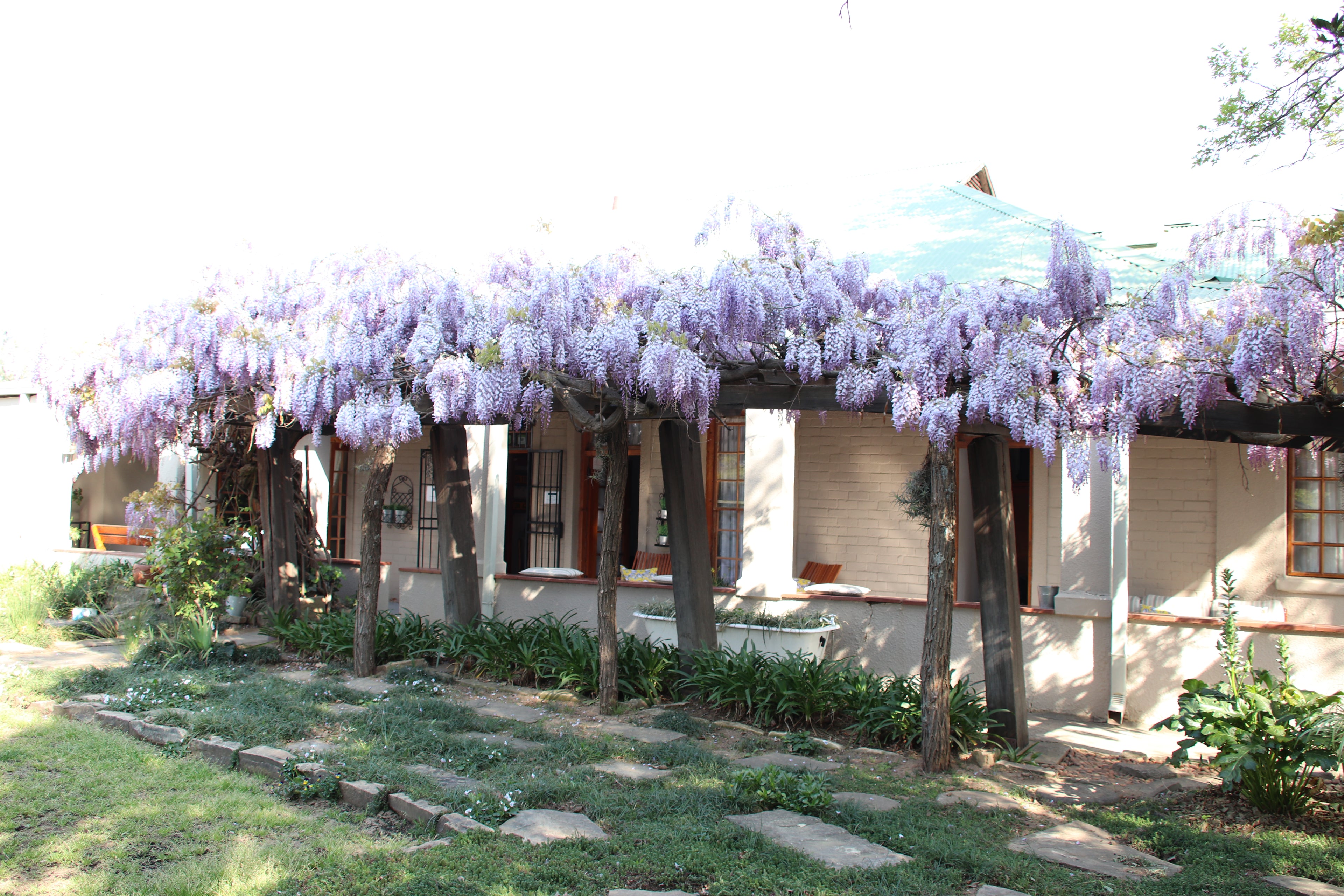 Top House Bed & Breakfast
