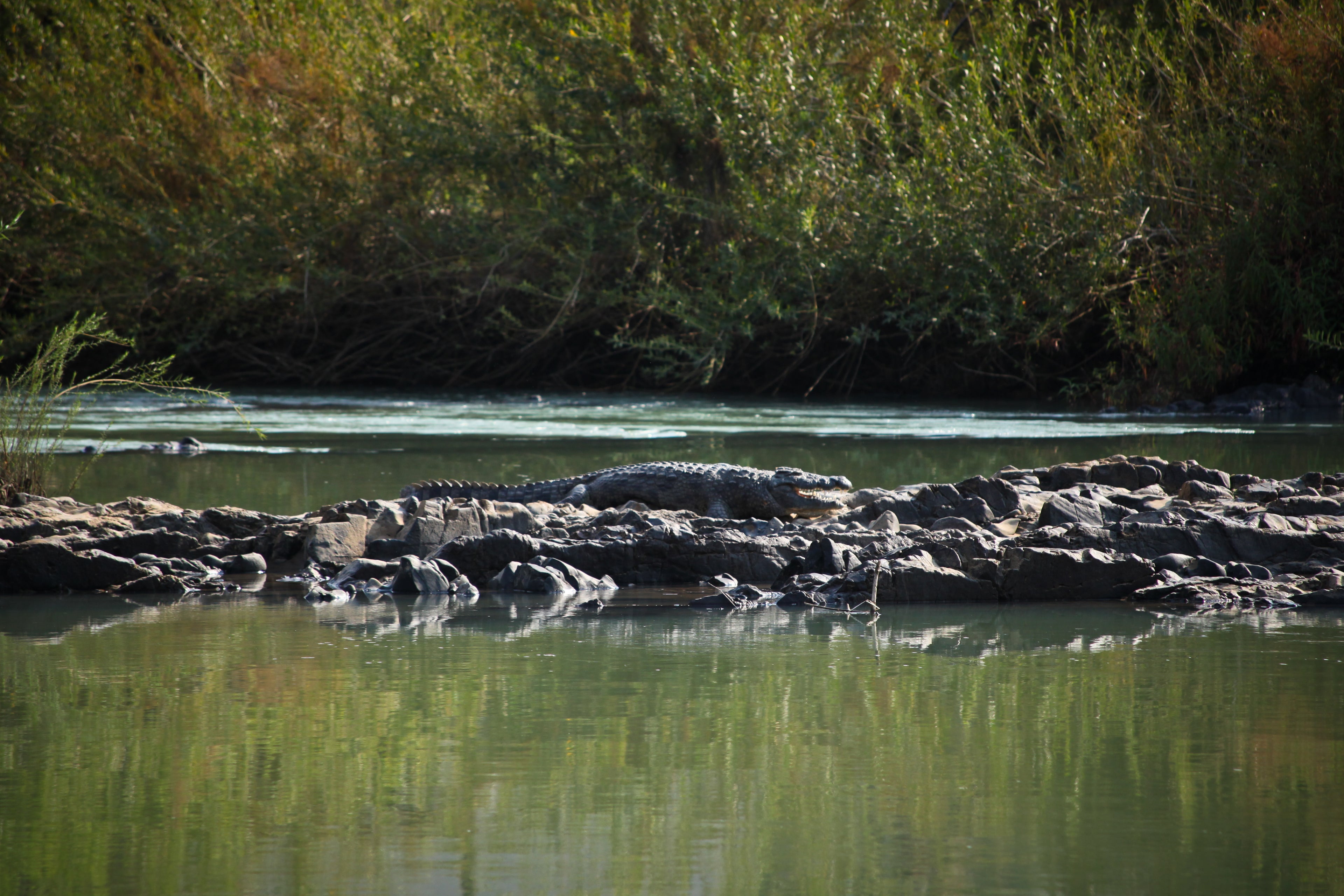 Omarunga Epupa-Falls Camp