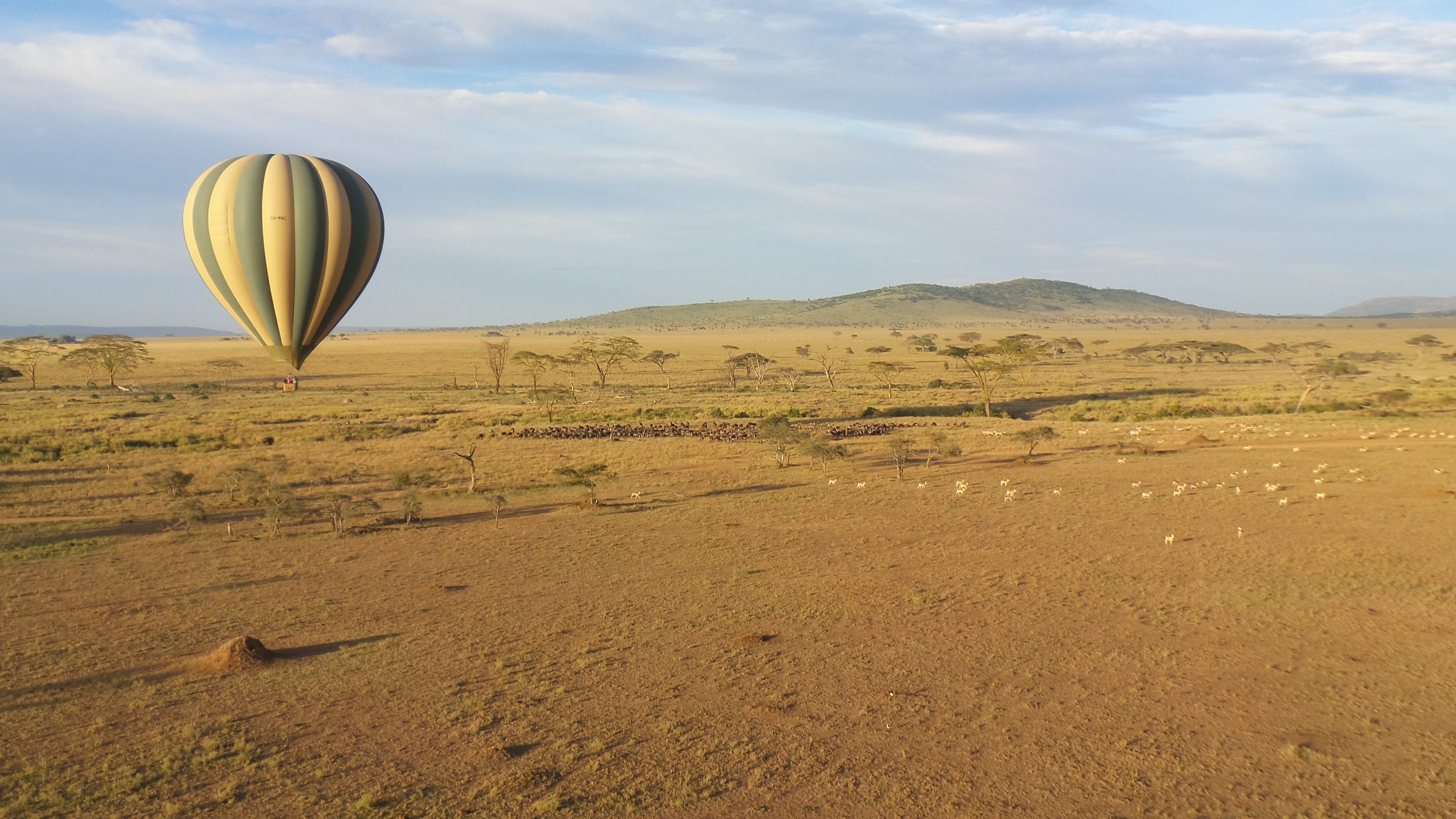 Balloon Safari