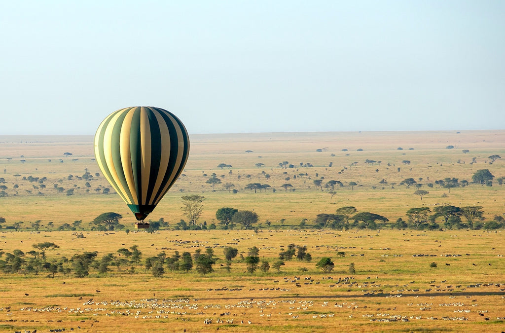 Balloon floating over  Migration