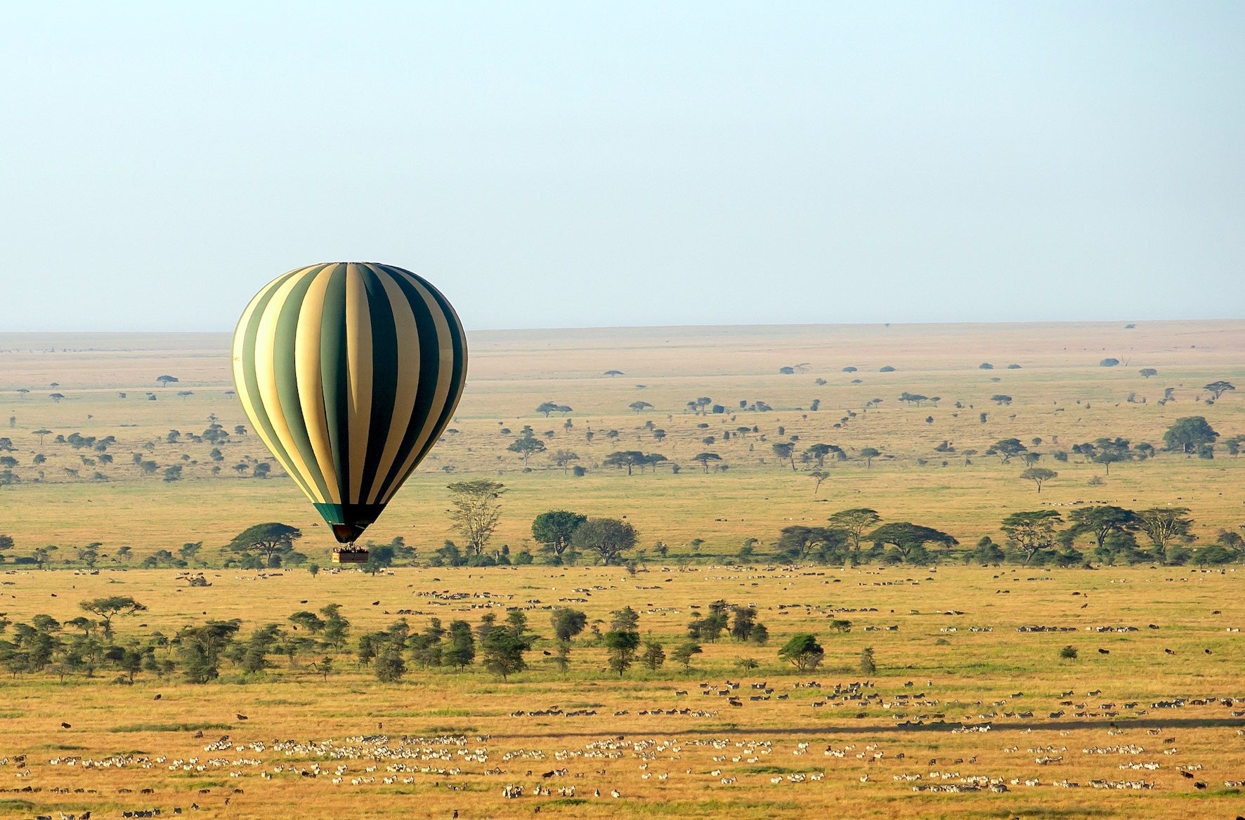Balloon floating over  Migration