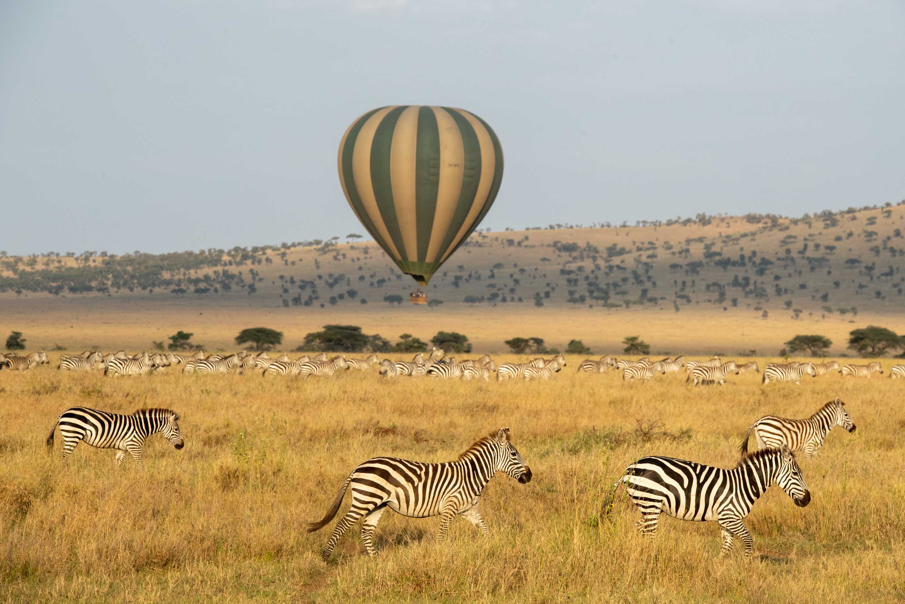 a bucket-list experience