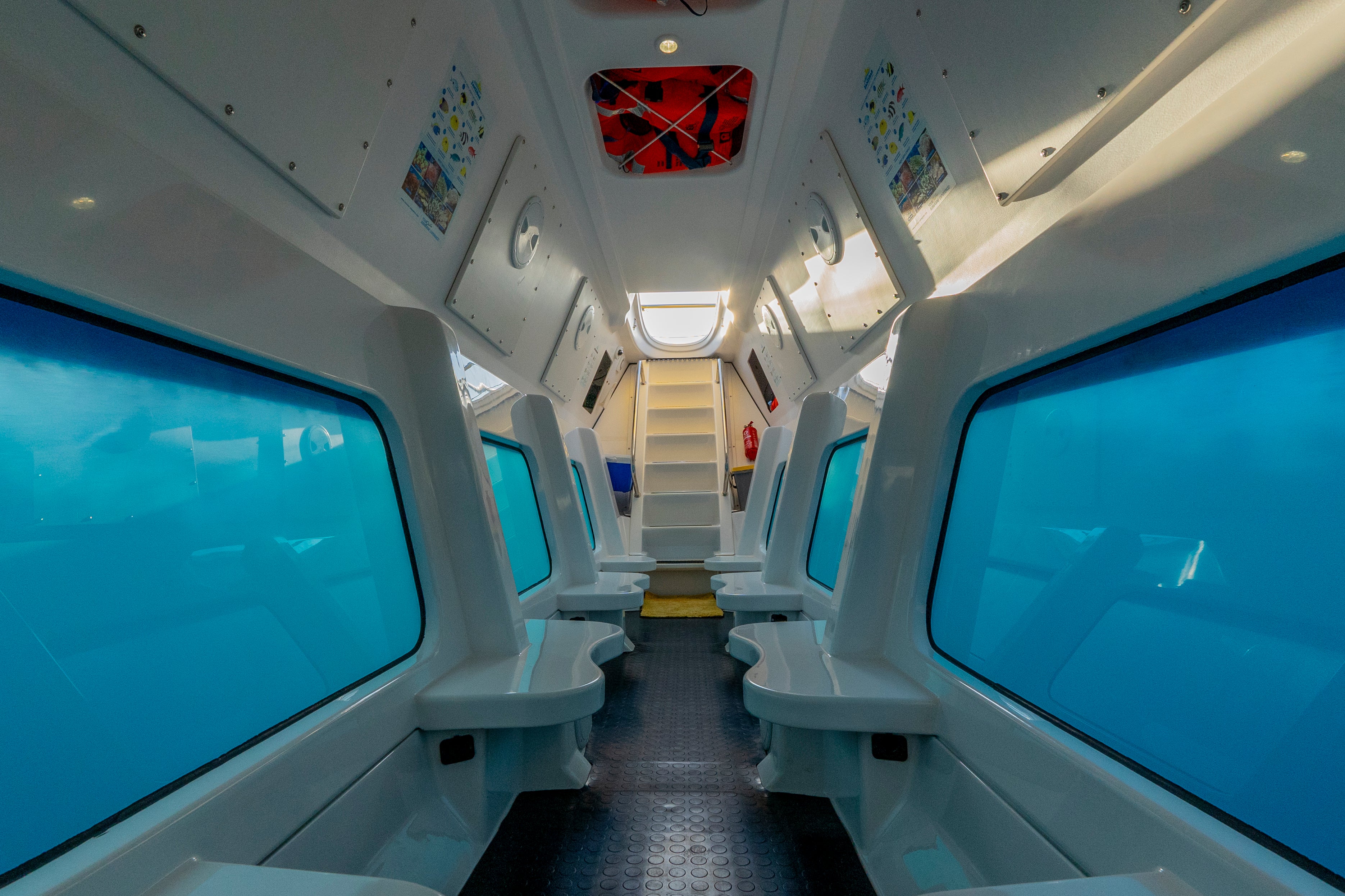 Magnified windows for marine life viewing