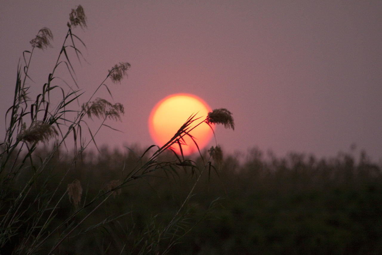 Okavango Sunset