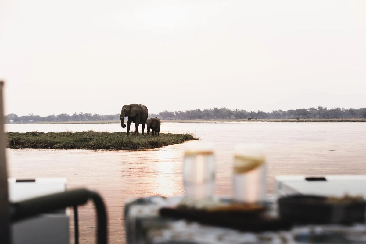 Wilderness Chikwenya – Boating *