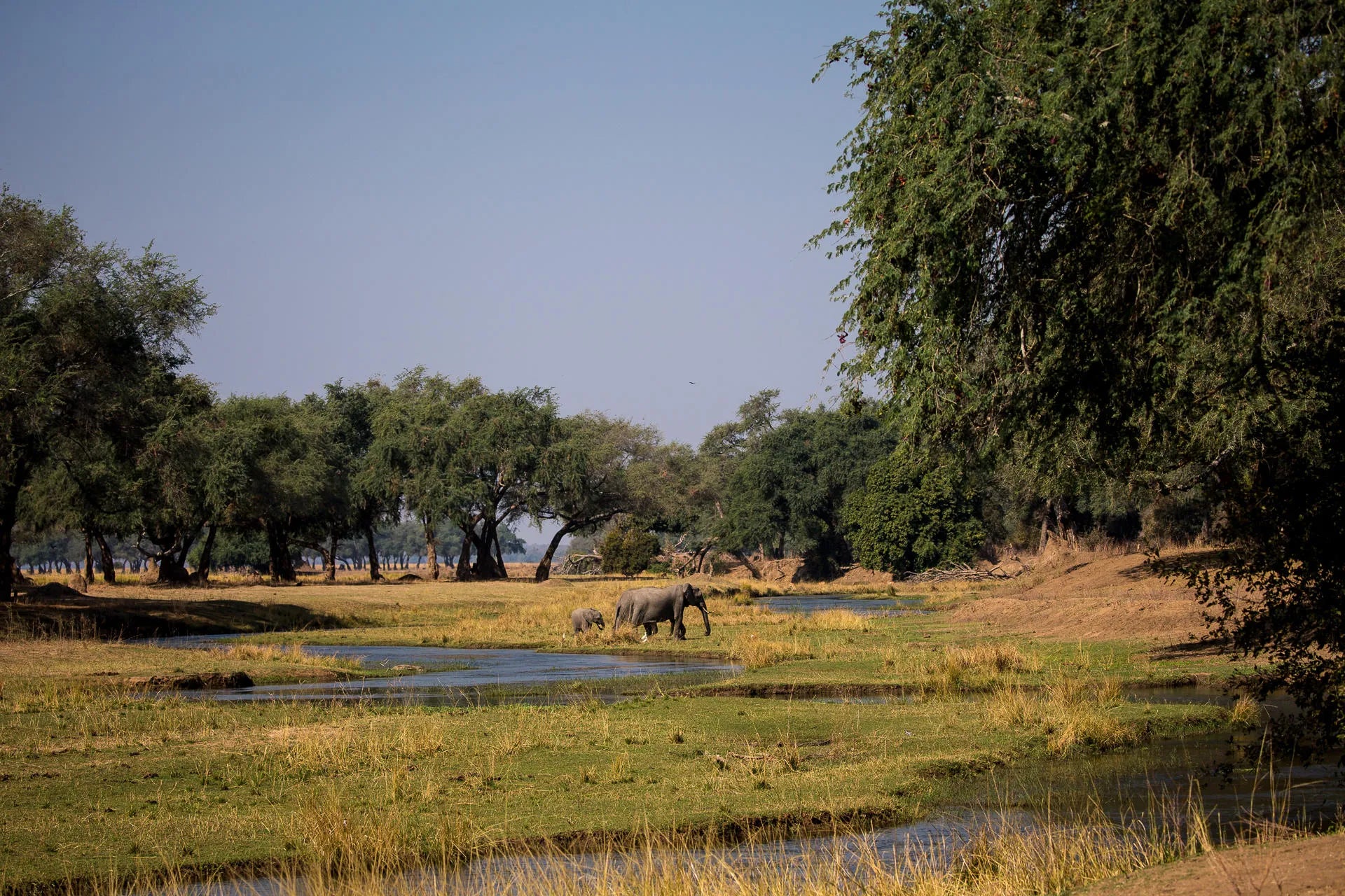 Wilderness Chikwenya at Wilderness Chikwenya, Mana Pools National Park, Zimbabwe.