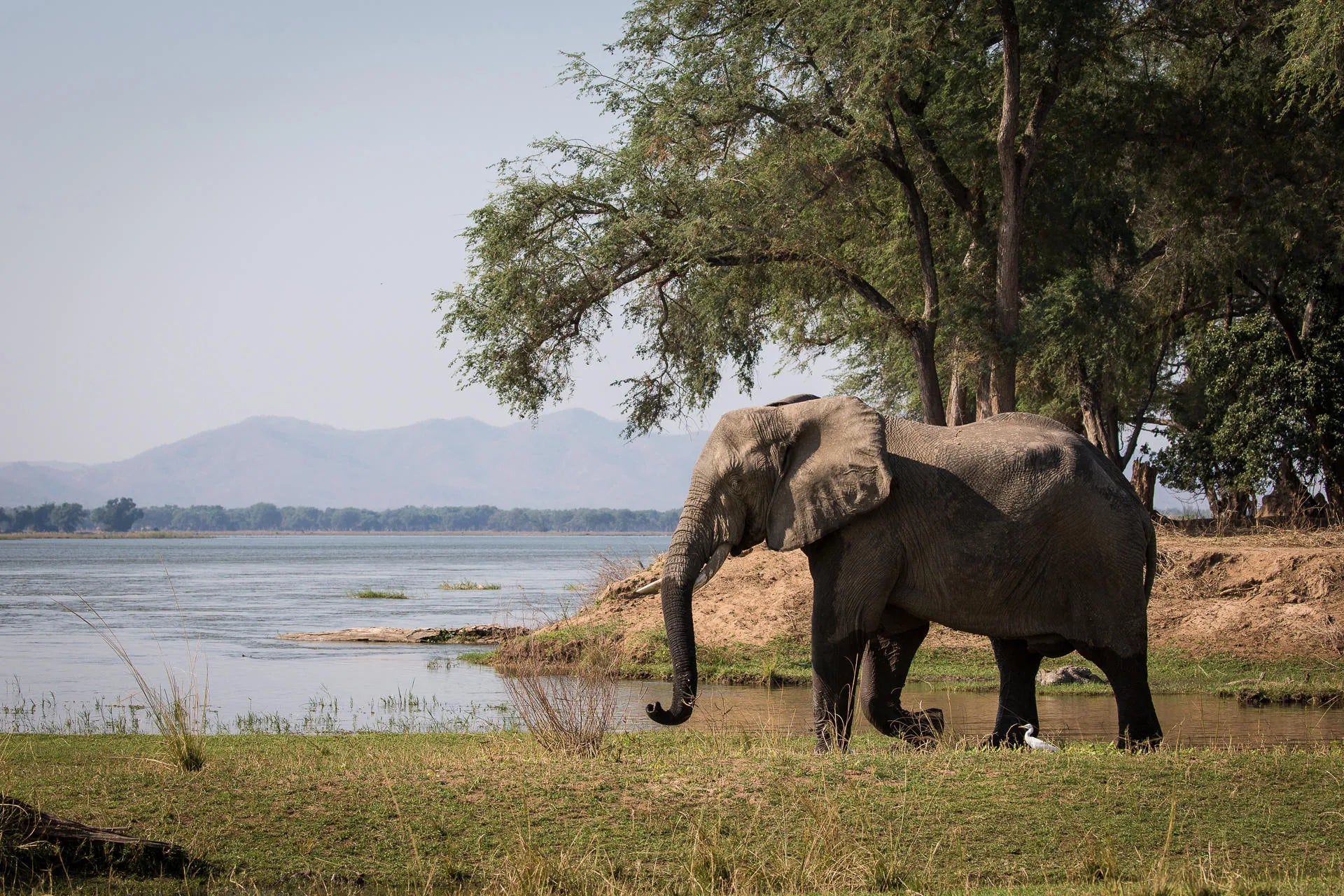 Wilderness Chikwenya at Wilderness Chikwenya, Mana Pools National Park, Zimbabwe.