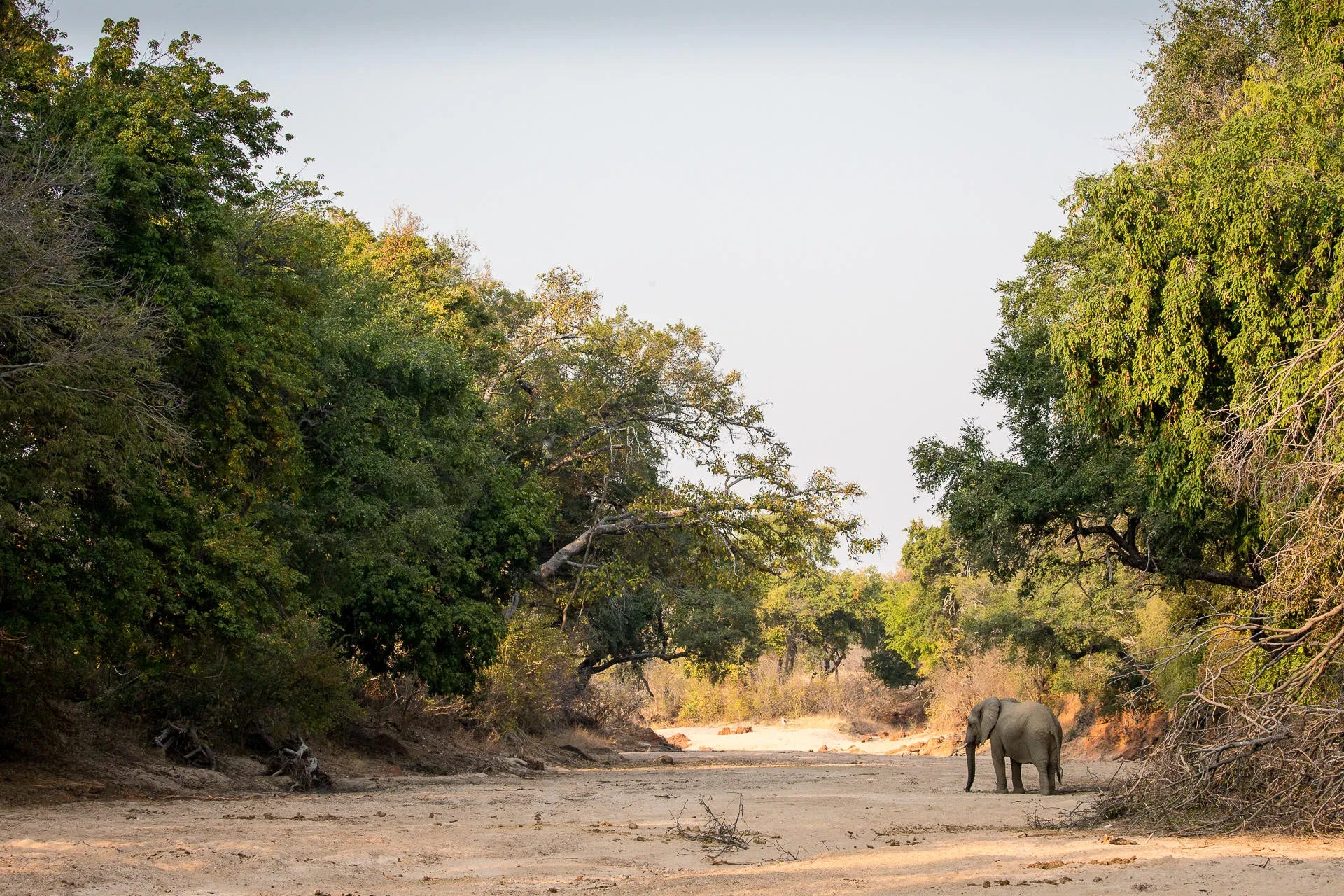 Wilderness Chikwenya at Wilderness Chikwenya, Mana Pools National Park, Zimbabwe.