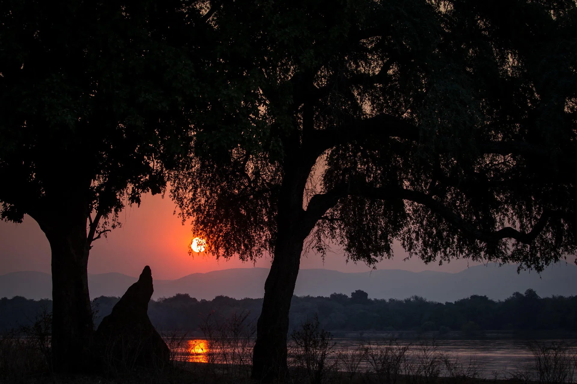 Wilderness Chikwenya at Wilderness Chikwenya, Mana Pools National Park, Zimbabwe.