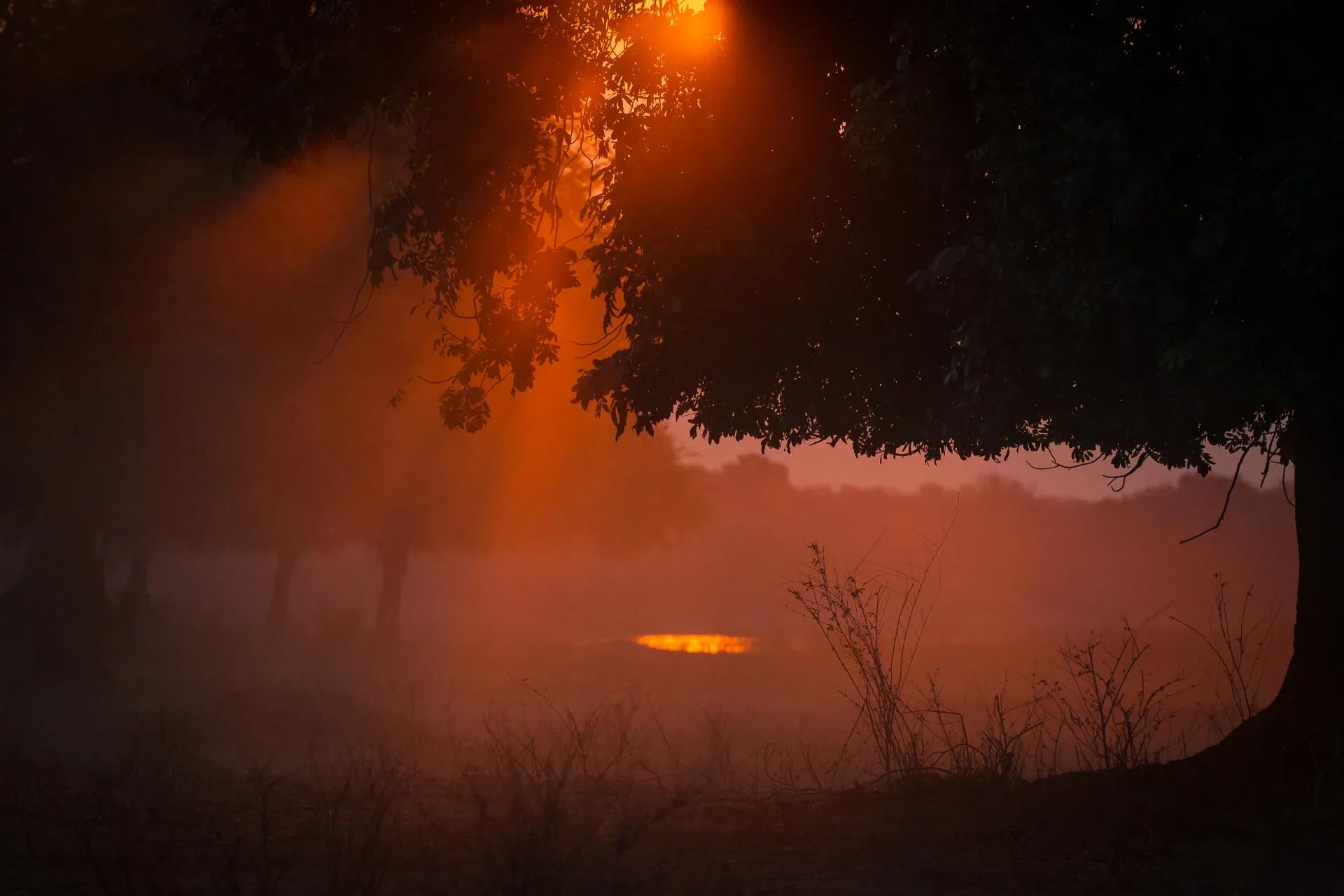 Wilderness Chikwenya at Wilderness Chikwenya, Mana Pools National Park, Zimbabwe.