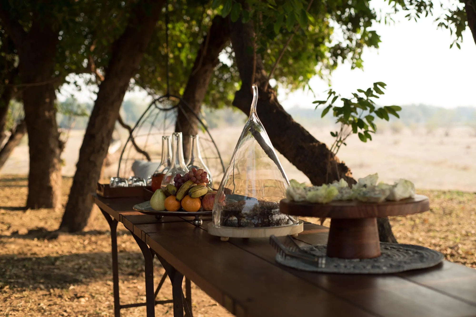 Wilderness Chikwenya at Wilderness Chikwenya, Mana Pools National Park, Zimbabwe.